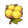 太阳棉.png