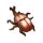独角兜虫.png