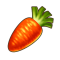 胡萝卜.png