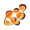 小丑鱼.png