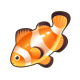小丑鱼.png