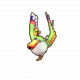 丸丸.png