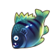 黑腮鱼.png