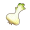 纯白洋葱.png