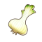 纯白洋葱.png