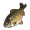 秘斯特鲤鱼.png