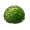 平原之主苔藓.png