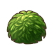 平原之主苔藓.png