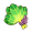 芜菁叶.png
