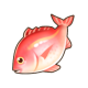 悦夏鲷鱼.png