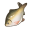 秘斯特鲫鱼.png