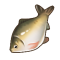 秘斯特鲫鱼.png