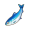沙丁鱼.png
