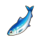 沙丁鱼.png