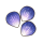 结冰鳞片.png