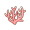 漂亮珊瑚.png