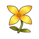 活力花.png