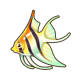 天使鱼.png