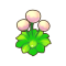 奔跑花.png