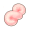 粉绢丝.png