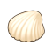 坚固的贝壳.png