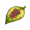 红胡椒.png