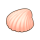 小贝壳.png