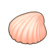 小贝壳.png