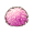 花之主苔藓.png
