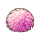 花之主苔藓.png