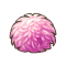 花之主苔藓.png