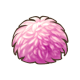 花之主苔藓.png