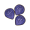 黑暗鳞片.png