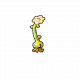 大鞭草.png