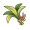 治愈草.png
