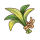 治愈草.png