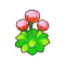 斗志花.png
