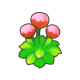 斗志花.png