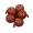 针叶树果实.png