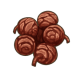 针叶树果实.png