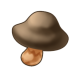 类松露.png
