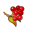 安波伊浆果.png