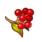 安波伊浆果.png
