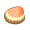珍贵的贝壳.png
