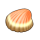 珍贵的贝壳.png