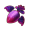 堕天胡萝卜.png