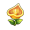 玫黄花.png