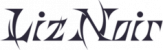 LizNoir-公式-Logo-字.png