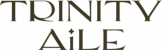 TRINITYAiLE-公式-Logo-字.png