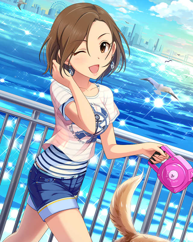 CG-Seira-SR-2.jpg